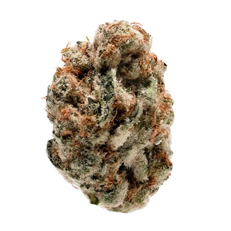 Dec 20, 2020 · THC: 18% - 22%. Pine Tar Kush is a 100% pure indica hybrid strain that is a direct descendant of the infamous Kush strain. This infamous bud is named for its super woody flavor and insanely sticky feel. Pine Tar Kush has a taste of pungent earthy pine with a hint of woody citrus that becomes spicy upon exhale, intensifying as you continue to smoke. . 