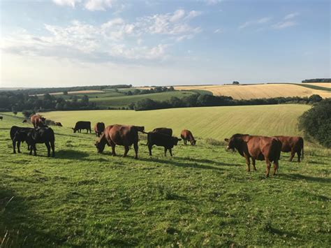 Hall Farm, Sutton Estates - LEAF (Linking Environment and Farming)