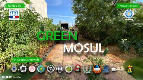 Hall Green Messenger Mosul
