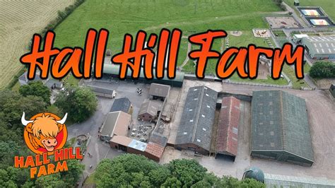 Hall Hill Video Wuhu