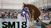 Hall Of Fame ️Hobby Horse Version ️ - YouTube