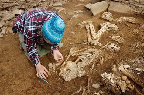 Hallan esqueletos en una tumba escocesa “increíblemente rara” de 5.000 años de antigüedad