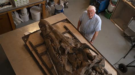 Hallan gigantesco cráneo de monstruo marino prehistórico en la “Costa Jurásica” de Inglaterra