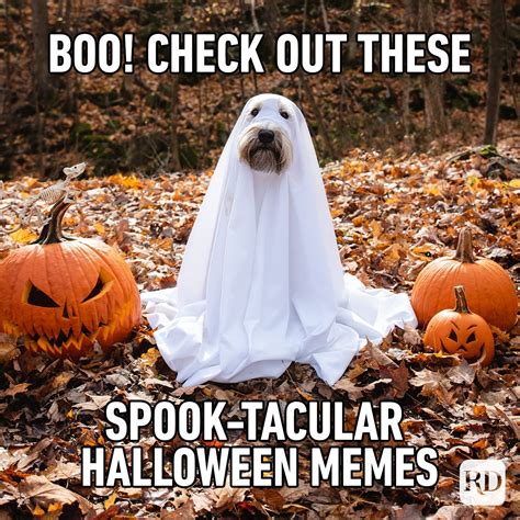 Halloween Meme Template