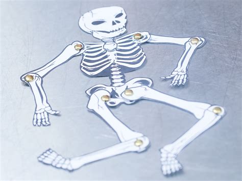 Halloween joint papers. The plastic used for the bones is very pliable, but the plastic used for the joint mechanisms is thin and brittle. This results in joints that are easily broken. You can replace a broken knee joint with a Knee Joint from Dr. Frybrain. Disassemble the broken joint with a Phillips screwdriver and a 10 mm wrench or pliers. 