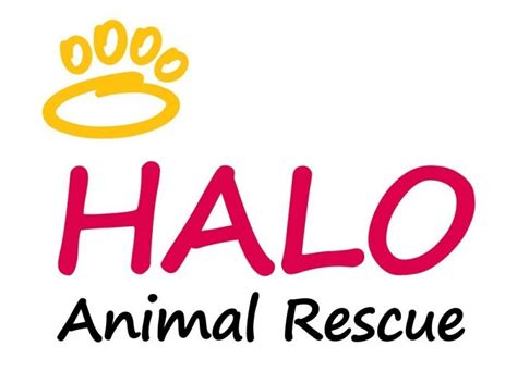 Halo animal rescue. Things To Know About Halo animal rescue. 