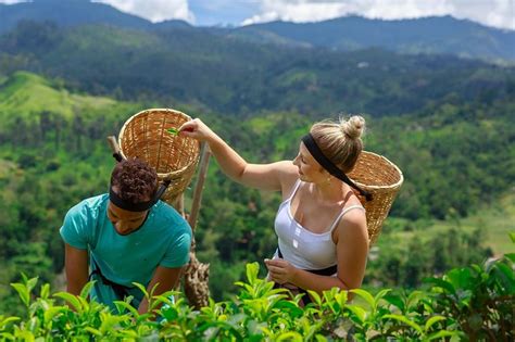 Halpewatte Tea Factory Tour (Ella, Sri Lanka)