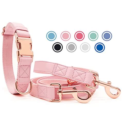 Halsband Hund Rosegold