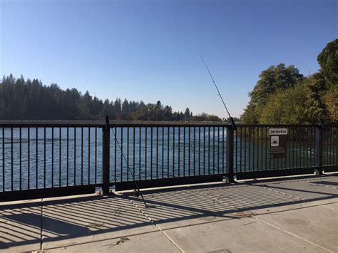 Best Fishing in Twin Pines, CA 95703 - Halsey Forebay Picnic Area, Nid Recreation, Peninsula Camping & Boating Resort On Rollins Lake, Rise Up River Trips, The Fish Sniffer Newspaper, G & J Outdoors, Out Cast Guide Service. 