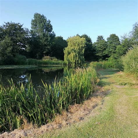 Halsham Ponds - Carp Fishing Venues - 4THIRDS