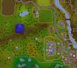 Ham hideout osrs. H.A.M. Hideout is the base of operations for the Humans Against Monsters organisation in Misthalin, Missthalin. It is located west of the Lumbridge general store and has two stores, a secret dungeon, and various quests. 