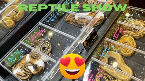 The Westmoreland Reptile Expo is held monthly at the Live! Casino Pittsburgh on the second floor at The Venue Live! That is located behind Westmoreland Mall at 5260 US-30 Greensburg, Pennsylvania, 15601. This expo came to be in May of 2015 and, with the exception of one show, we have been holding these shows monthly.