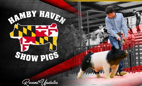 Hamby Haven Show Pigs • Clear Spring, Maryland. EXCELLENCE CREATES OPPORTUNITY SALE. March 23 at the Farm. Text or Call Garrett 301-988-4912 to set up an appointment. to view pigs or purchase off the farm. Sale Barn & Boar Barn: 13503 NATIONAL PIKE - CLEAR SPRING, MD 21722.. 