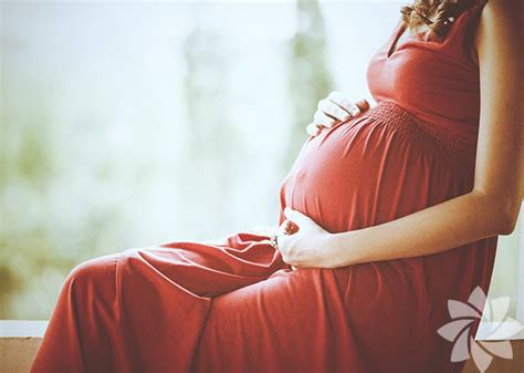 Hamile annelerin haklari 2018