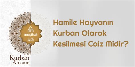 Hamile kurban kesilirse... 