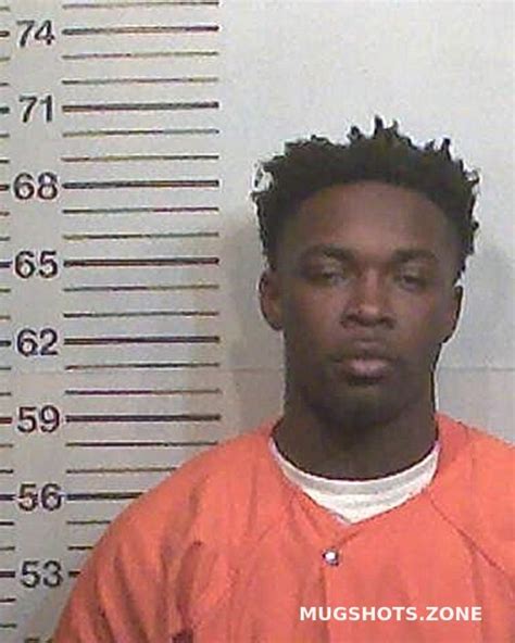 Hamilton county fl jail mugshots.  For statewide criminal history information...