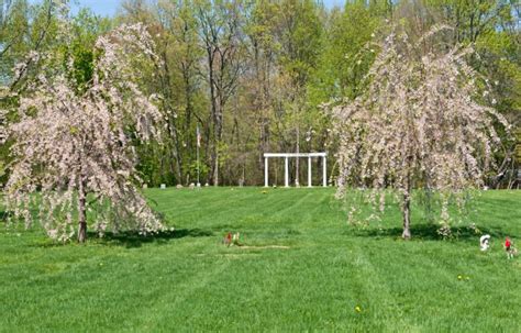 Hamilton pet meadow. Hamilton Pet Meadow is a pet cemetery and crematory in Central New Jersey maintaining the highest standards and following a strict Code of Ethics. 