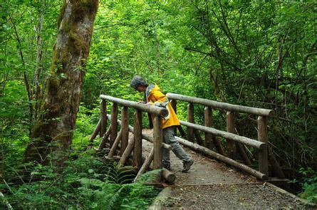 Hamma Hamma Cabin, Olympic National Forest - Recreation.gov