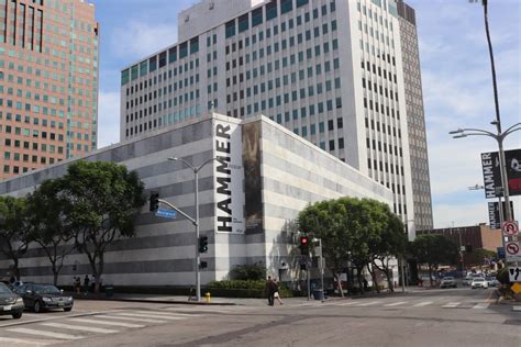 Hammer art museum. With 26,600 square feet of exhibition space, the enlarged Hammer will still lag well behind the Broad museum (50,000) and the L.A. Museum of Contemporary Art (68,000 across three venues). 