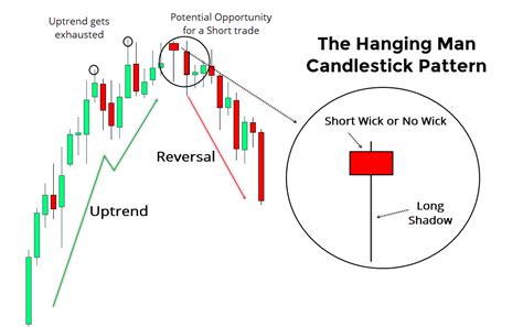 Hammer candlestick pattern and Hanging man candle - Traderma