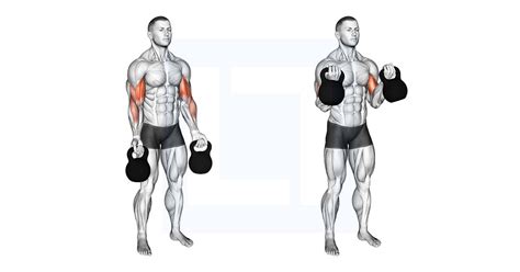 Hammer curl kettlebell.  Follow our step-by-step instructions and tips.  The grip of the...