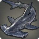 Hammerhead shark ffxiv. Things To Know About Hammerhead shark ffxiv. 