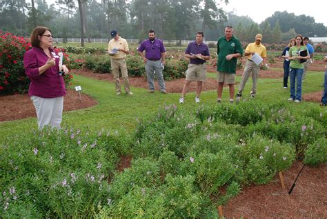 Hammond Research Station Profile - LSU AgCenter