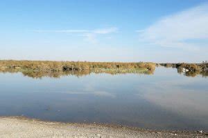 Hamoon Lake 2024 Zabol, Sistan va Baluchestan