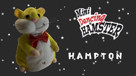 Hampton The Hamster - The Hamster Dance (slow & Original)