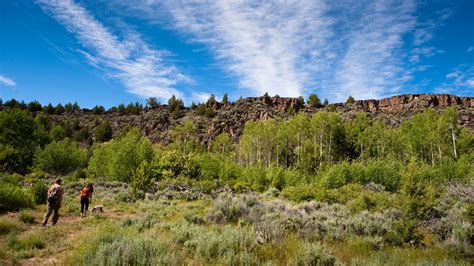 Hampton butte oregon. The BLM (Oregon & Washington) no-fee daily collecting limits of rocks and minerals including semiprecious gemstones, mineral specimens, and common invertebrate fossils in reasonable amounts for personal use. Petrified wood can be collected for personal use — up to 25 pounds each day, plus one piece, but no more than 250 pounds in any … 