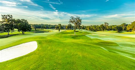 Hampton golf. Things To Know About Hampton golf. 