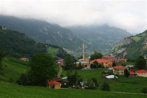 Hamsikoy Halı ve Koltuk Yıkama