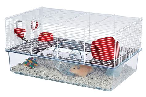 Hamster Cage Guide How Big Should a Hamster Cage Be