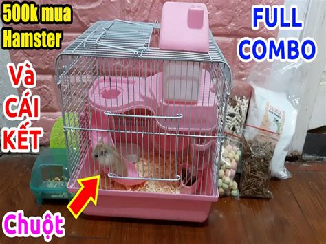 Hamster Seks tips chip 500k kuning & drum programming target bulanan untuk selamat tahan panas mesin Femina Online image 1