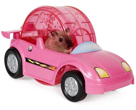 Hamster mobile porn com. 17K. Porn compilations are typically put together by fans of a particular type of XXX action and have proven to be popular with users. Almost anything can end up in one of these pornography collections, though the most-watched varieties include facials, anal, cum swallowing, interracial, rimjobs, handjobs, and blowjobs, among many others. Chat ... 