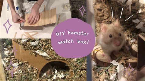 Hamsterwatch bb25. Things To Know About Hamsterwatch bb25. 