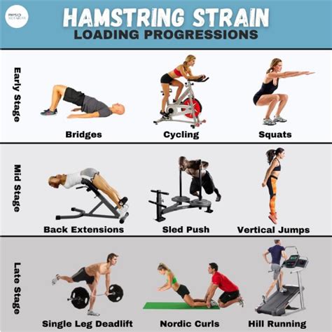 leosephi.rgarabwor.edu.pl. 