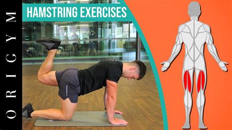 Hamstring muscles exercises. Things To Know About Hamstring muscles exercises. 