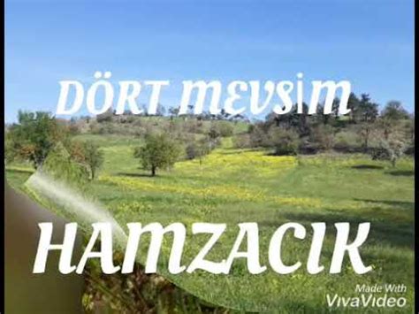 Hamzacik Halı ve Koltuk Yıkama