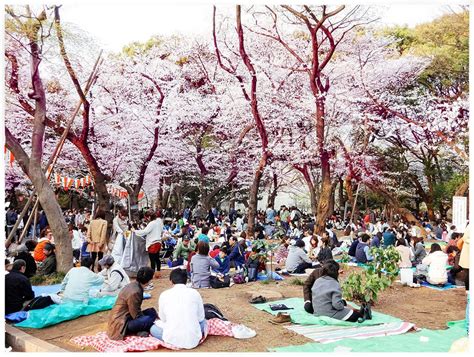 Hanami Onlyfans Leak