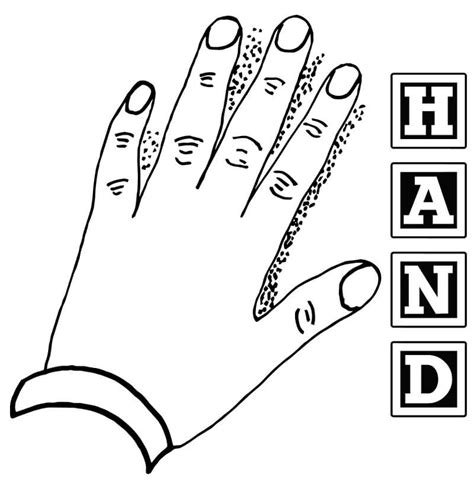 Hand Coloring Pages