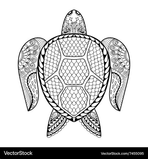 Hand Drawn Sea Turtle For Adult Coloring Pages Vector Image