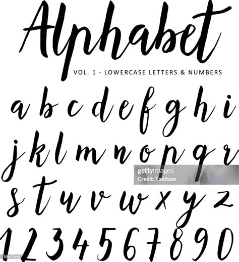 Hand Drawn Vector Alphabet Script Font Brush Font Isolated Letters