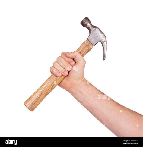 Hand Holding Hammer Pictures, Images and Stock Photos