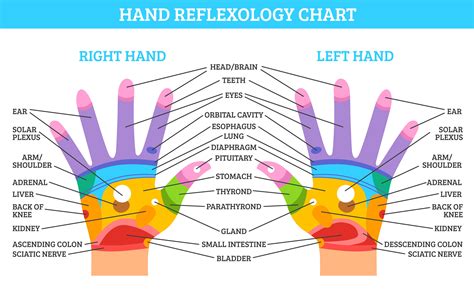 Hand Reflexology Chart & Oil Use Guide Reflexology essential oils