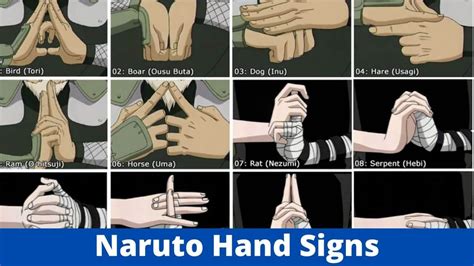 Hand Signs in Naruto