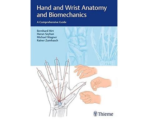 Hand and wrist anatomy and biomechanics a comprehensive guide. - Le livre de cuisine amish canning.
