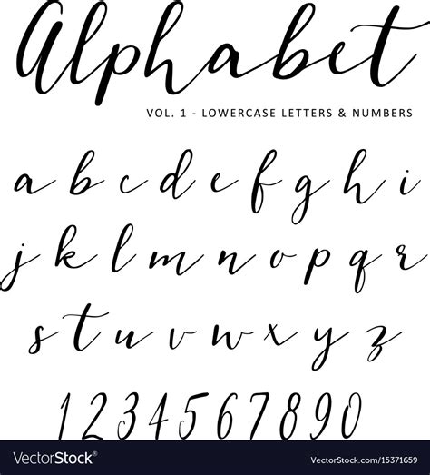 Hand drawn alphabet script font isolated Vector Image
