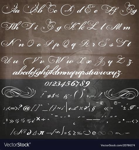Hand made script font in vintage victorian style Vector Image Script