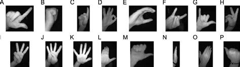 Hand palm dataset. .  The database is structured in different folders as: 4 days ago · ...